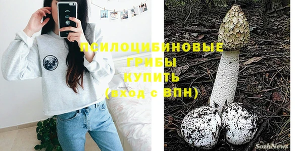 прущие крисы Медногорск