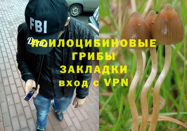 хмурый Михайловск