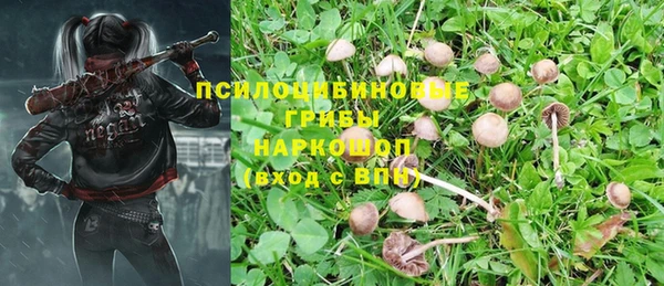 COCAINE Медвежьегорск