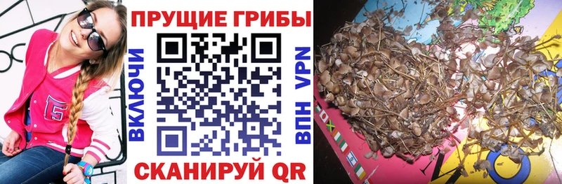 Галлюциногенные грибы MAGIC MUSHROOMS  Ирбит 