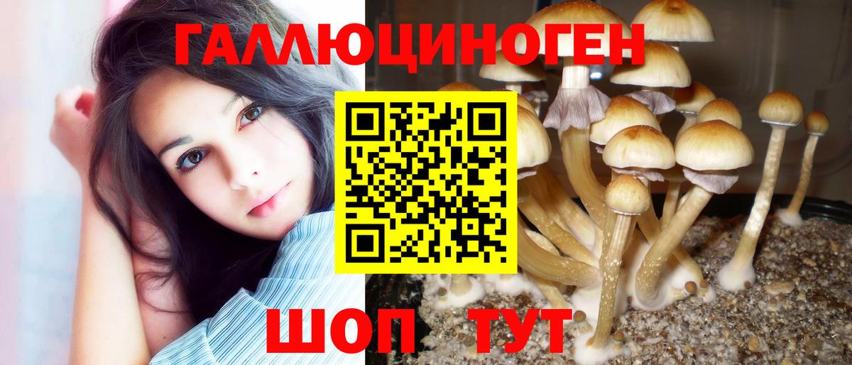 Псилоцибиновые грибы прущие грибы Ирбит